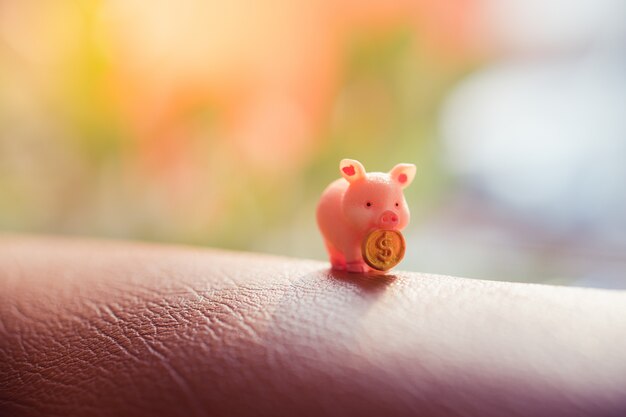 Maximize Your 401(k) in 2025: Expert Tips for Growth