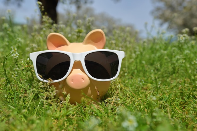 Unlock Tax-Advantaged Savings: Boost Retirement & Minimize Taxes