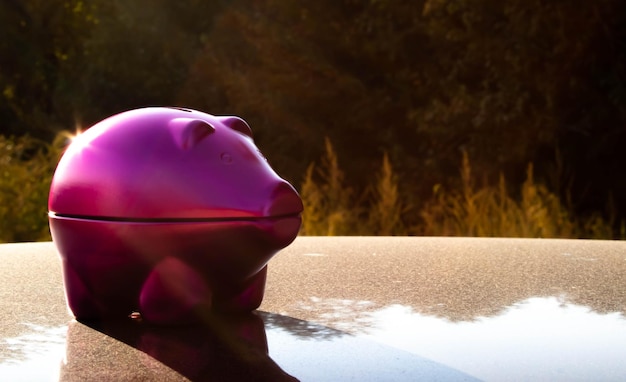 An inspiring image depicting a person confidently placing coins into a large piggy bank, symbolizing the act of maximizing contributions to retirement plans. The piggy bank is placed on a table with financial charts in the background, representing long-term financial growth and planning.
