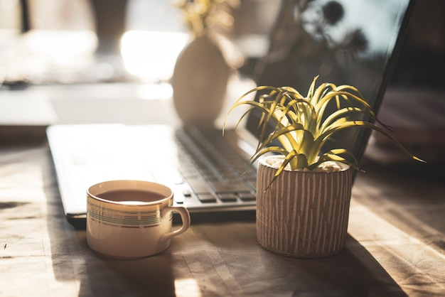 Financial Minimalism: Declutter to Save Money and Simplify Life